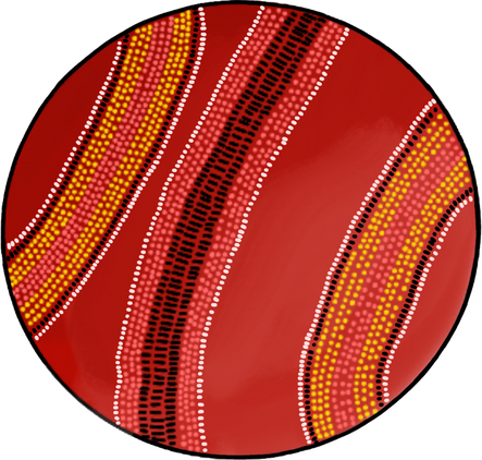 Cricket Ball with Aboriginal Artwork